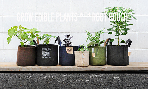 rootpouch