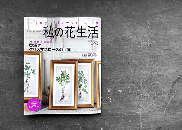 enjoyflowerlife