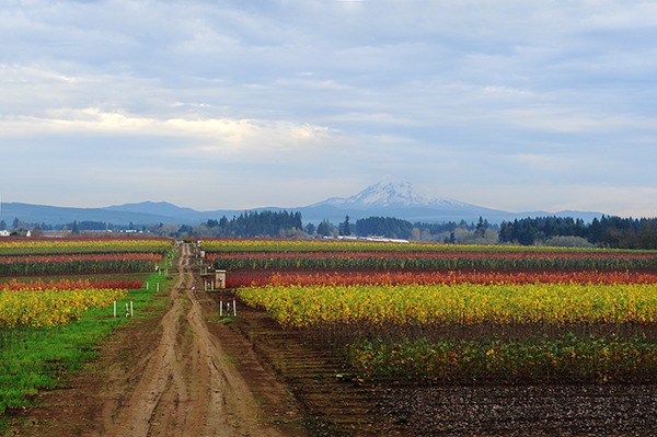 blog_DSC_2614.jpg