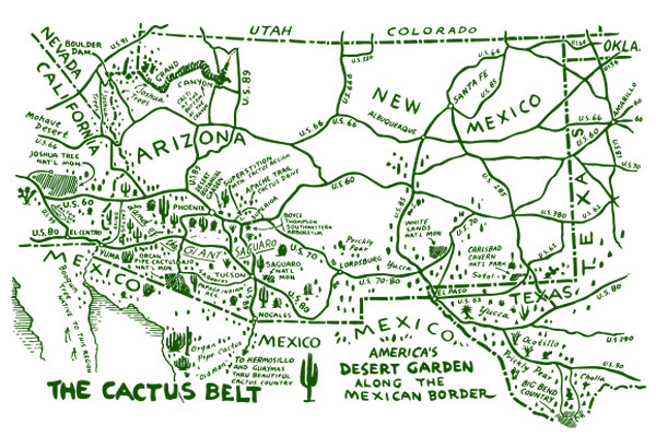cactus_map.jpg