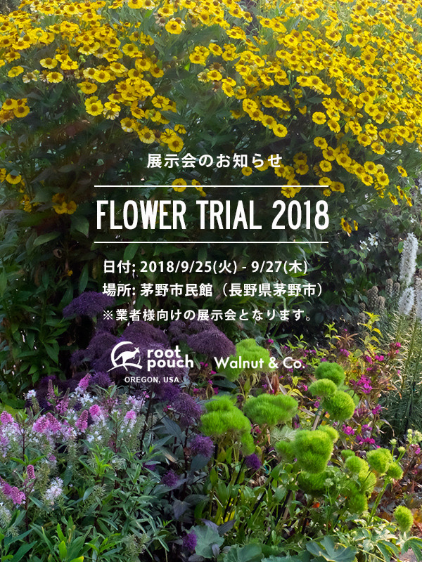 exhibition_flowertrial_2018.jpg