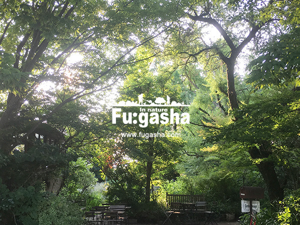 fugasha_001.jpg