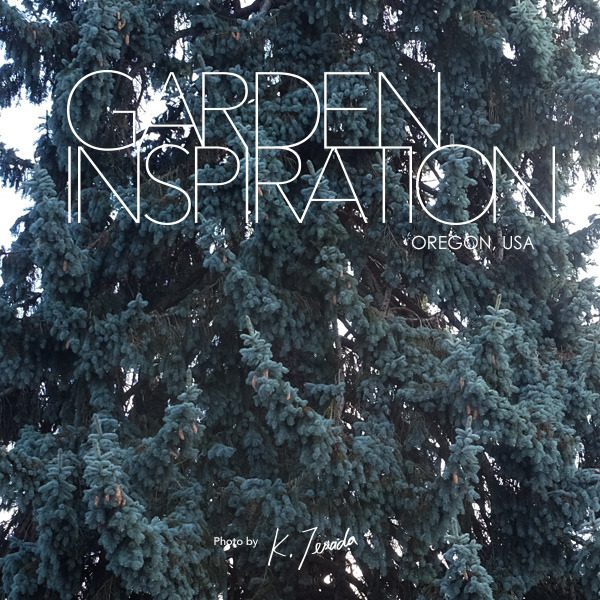 garden_inspiration_oregon.jpg