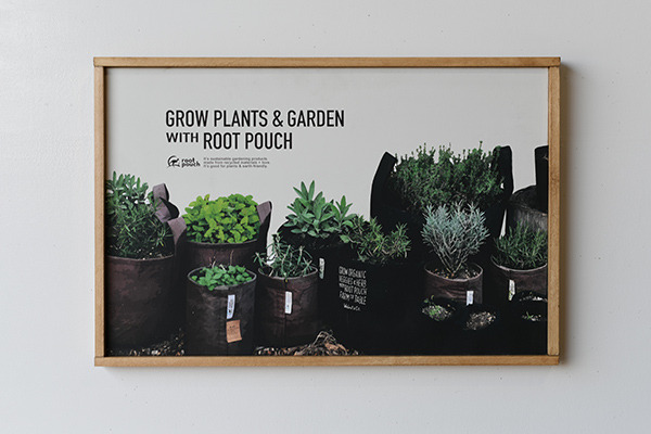 growplants.jpg