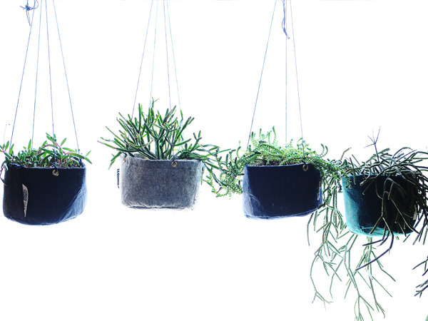 hanging_planter_600.jpg