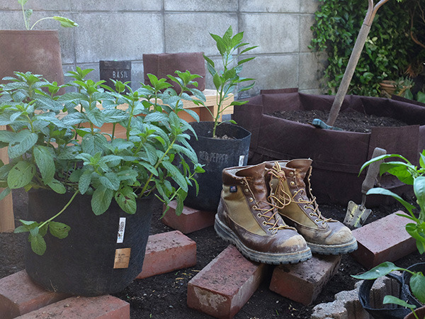 makeyourrootpouchgarden_004.jpg
