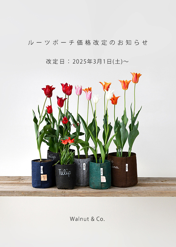 newprice_20250301.jpg