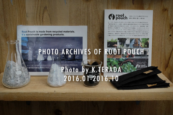 photo_archive.jpg