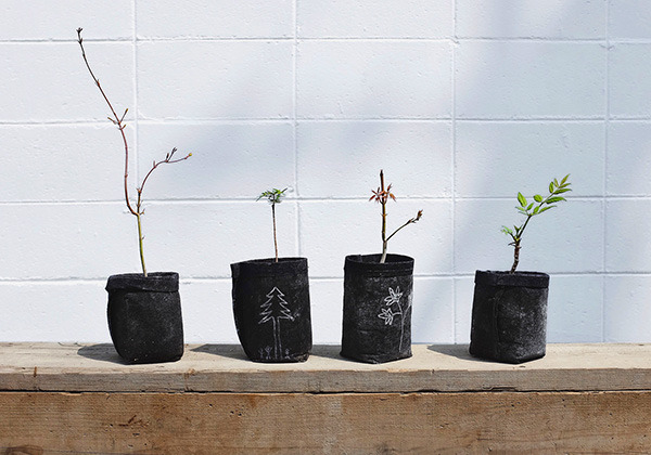 planting_600.jpg