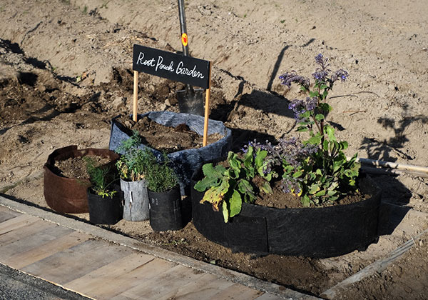 rootpouch_garden_001_600.jpg
