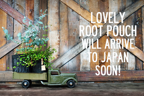 rootpoucharrivetojapan.jpg