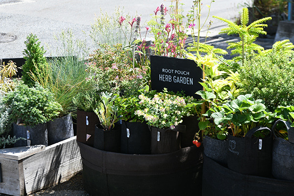 sign_005.jpg