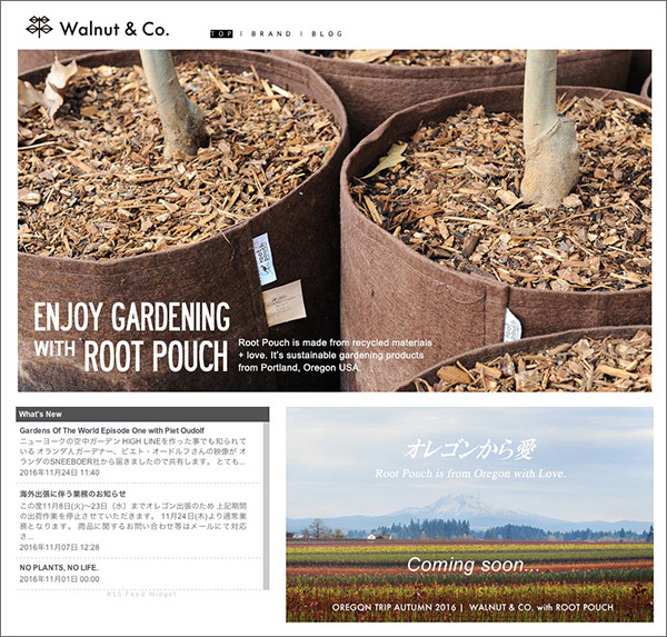 walnut&co.jpg