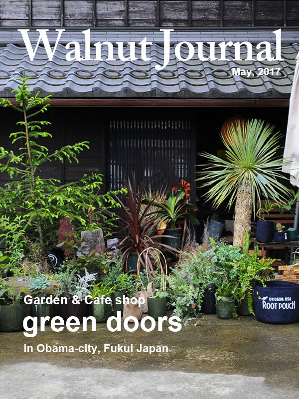 walnut_journal(greendoors).jpg