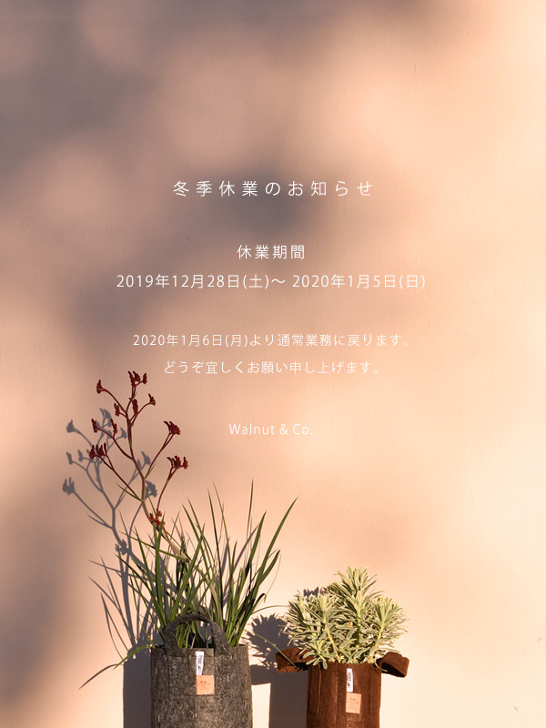 winter_holiday_2019.jpg
